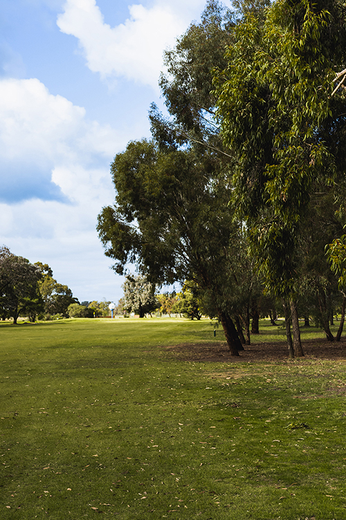 Kialla Golf Club course